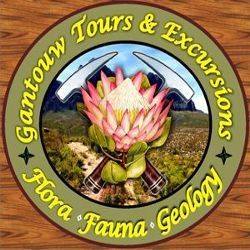 Gantouw Tours & Excursions