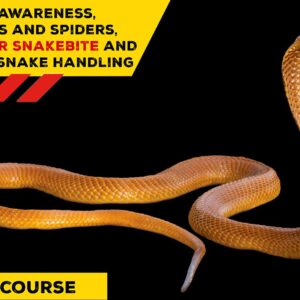 Snake Awareness First aid for Snakebite, Venomous Snake Handling