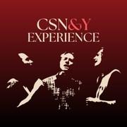 CSNY Experience