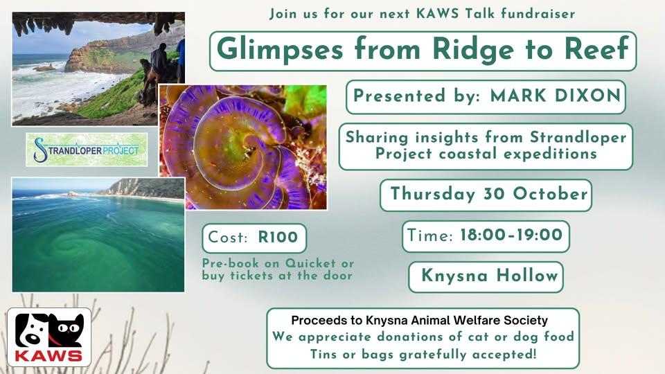 KAWS Talk_ Glimpses from Ridge to Reef