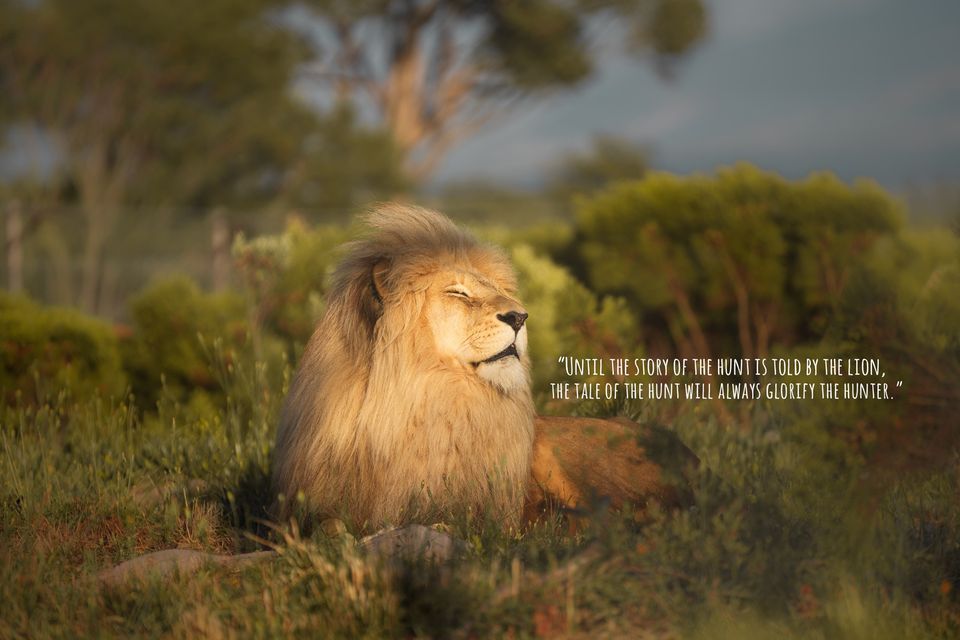 header-image